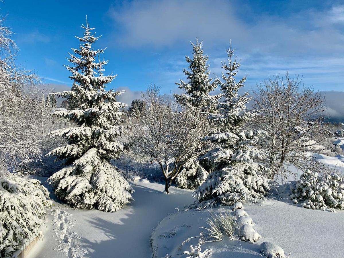 Haus Schneekappe Lejlighed Winterberg Eksteriør billede